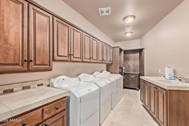 74 - Royal Palm 5339