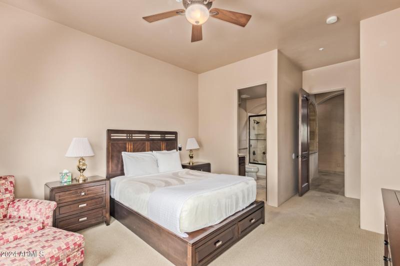 49 - Royal Palm 5339