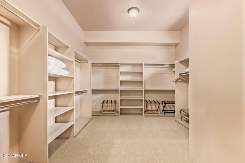 47 - Royal Palm 5339