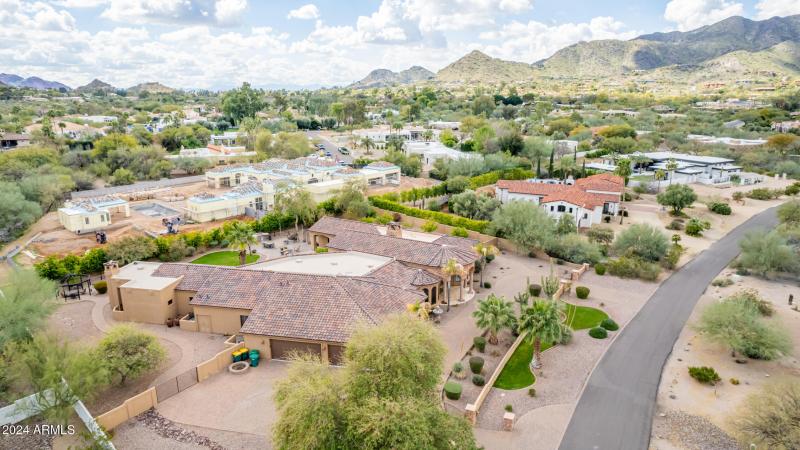 108 - Royal Palm 5339