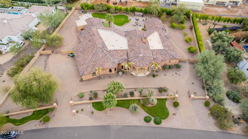 107 - Royal Palm 5339