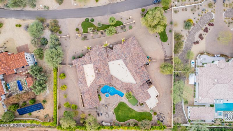 103 - Royal Palm 5339