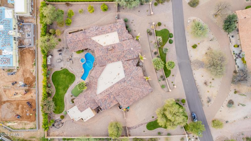 102 - Royal Palm 5339