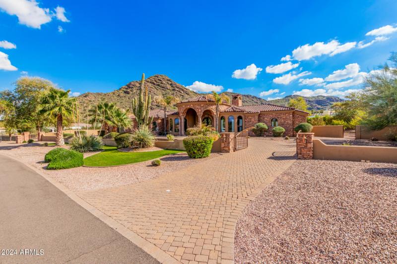 02 - Royal Palm 5339