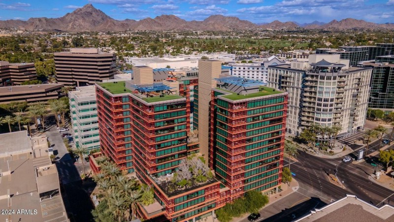 Optima Camelview