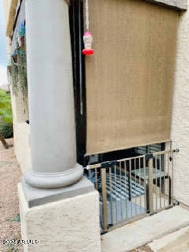 patio screen & gate