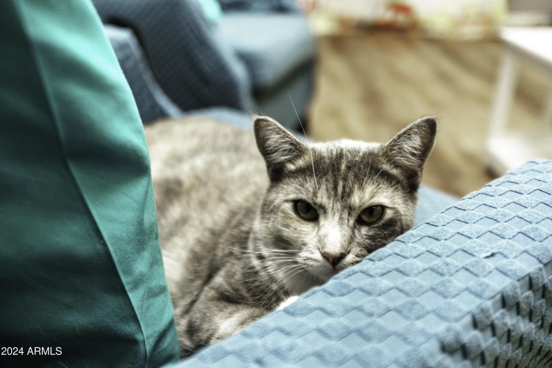 1601_S_Wardle_Rd-143