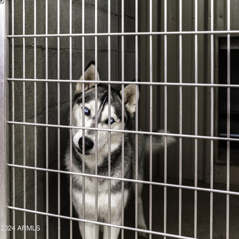 1601_S_Wardle_Rd-157