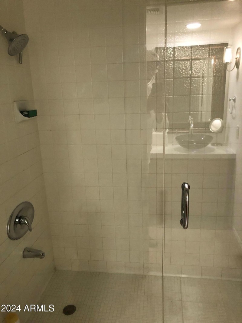 Suite 1 shower