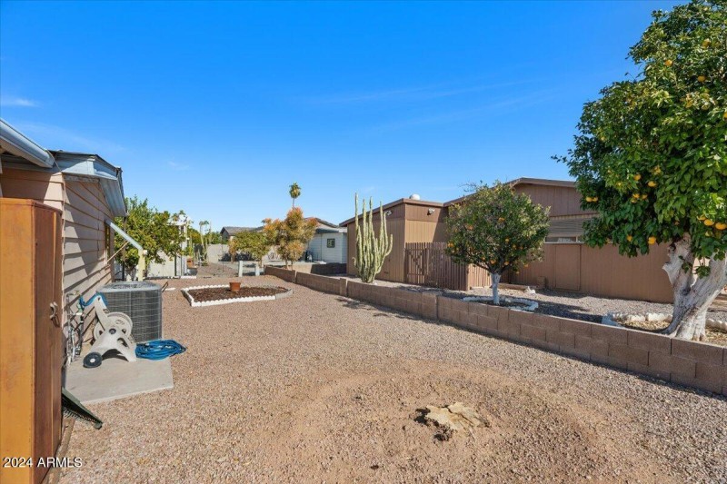 33-Back yard