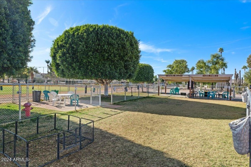 Dog Park