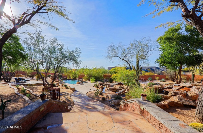 Backyard 1