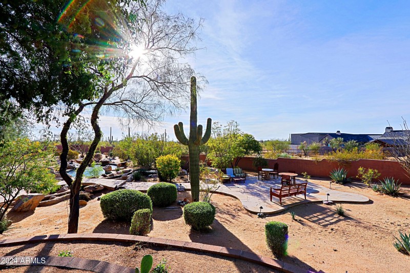 Backyard 5