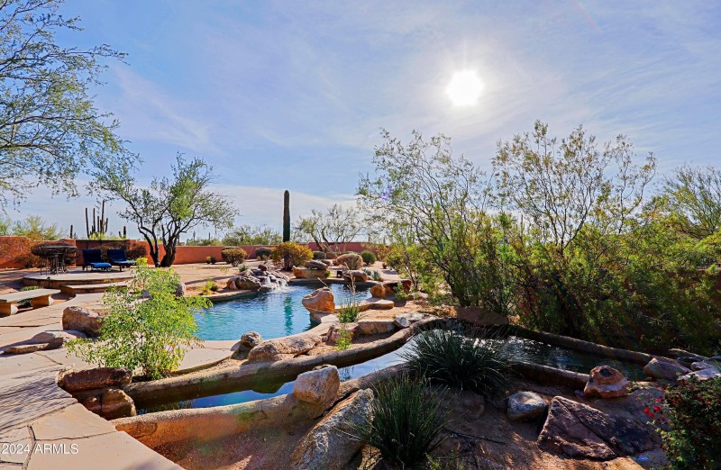 Backyard 10