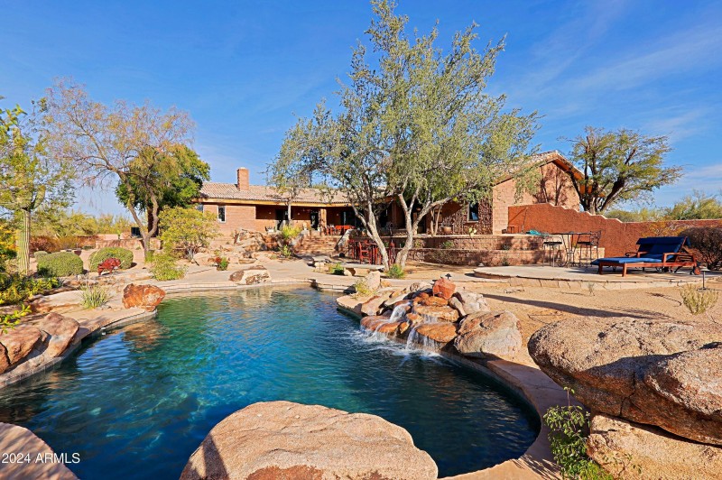 Backyard 15