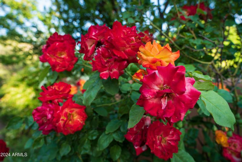 JL_3875NStagecoachRd-GardenPoolDock-24