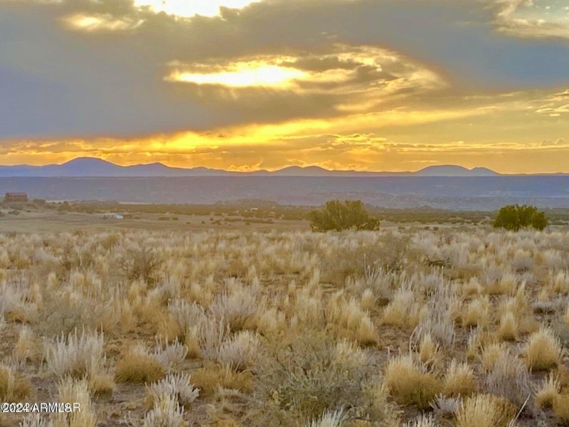 20241207025303215031000000-o