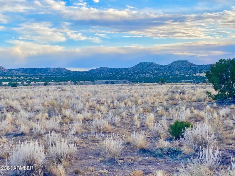 20241207031520050407000000-o