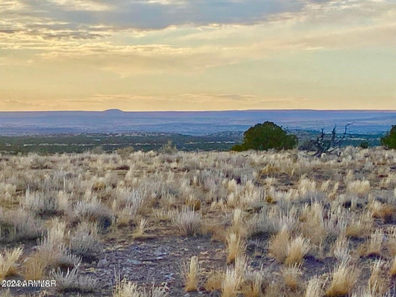 20241207031024089315000000-o