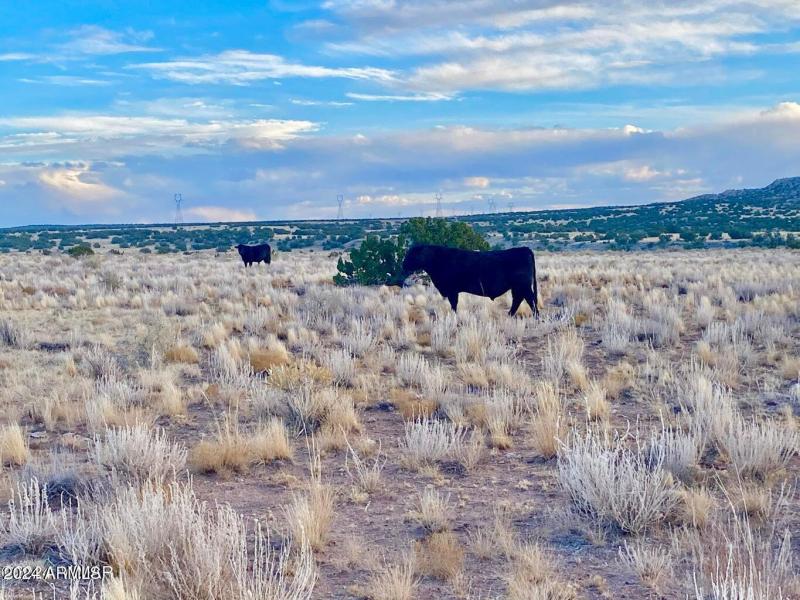 20241207055929842375000000-o