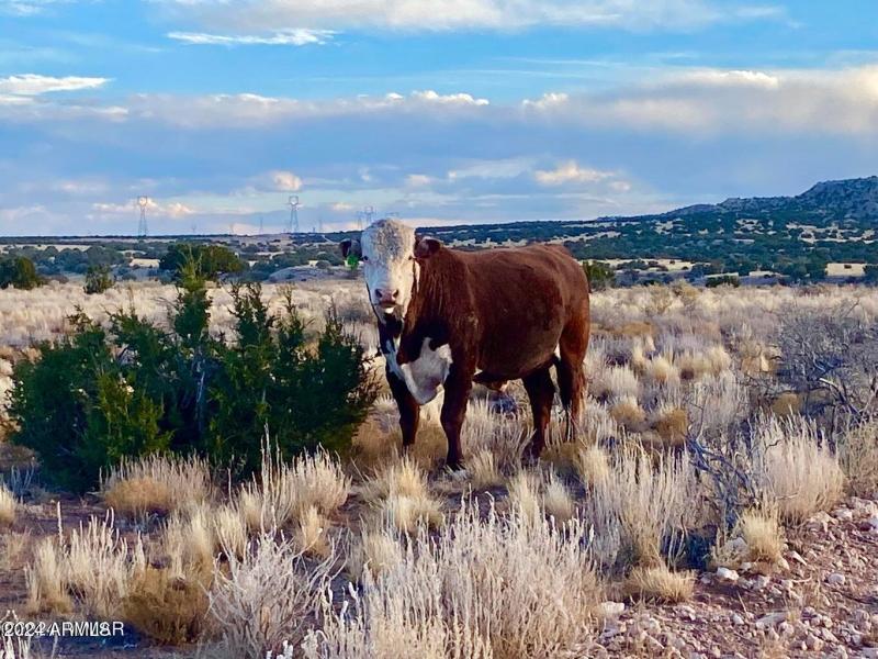 20241207025219244308000000-o