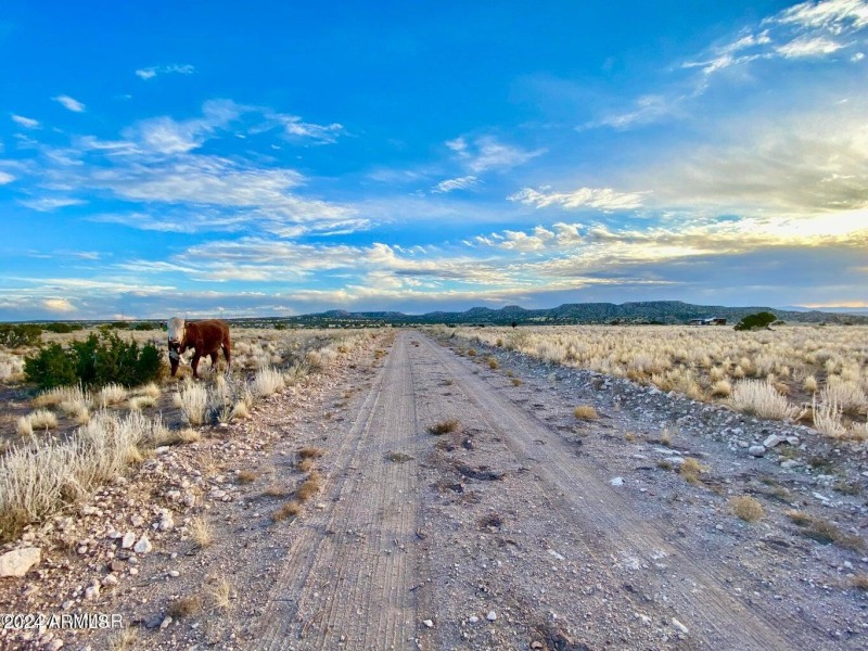 20241207025541201217000000-o