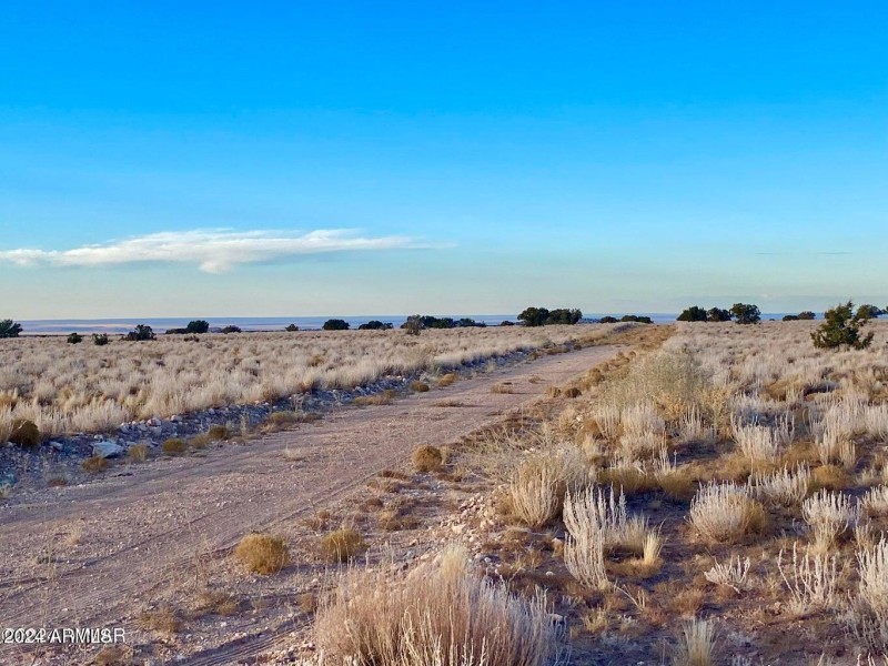 20241207025116517136000000-o