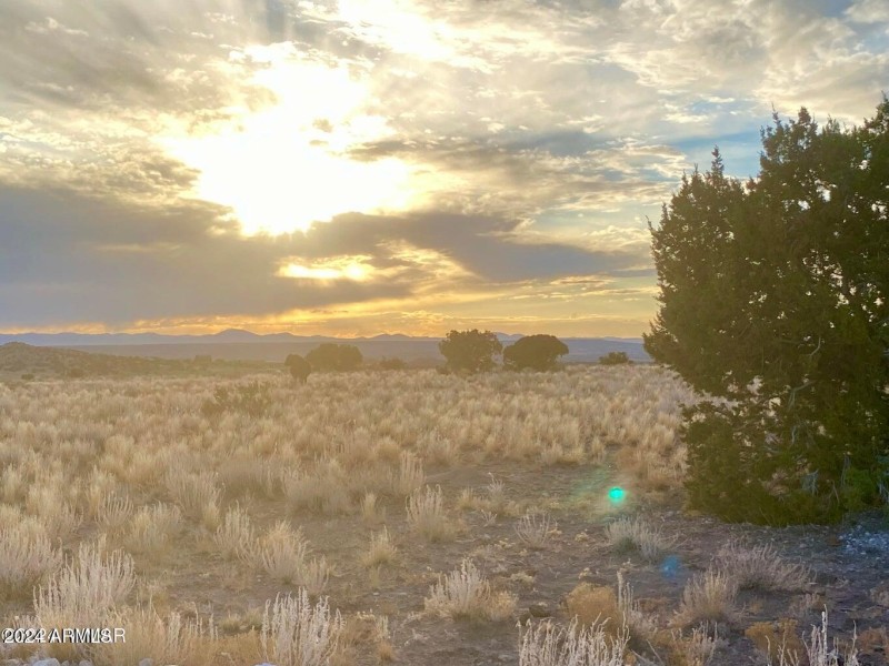 20241207030521261411000000-o