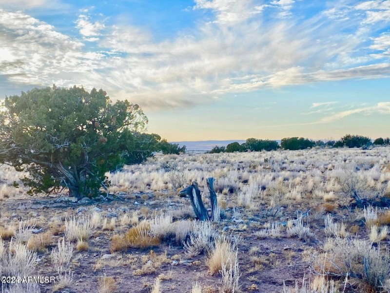 20241207030637283353000000-o