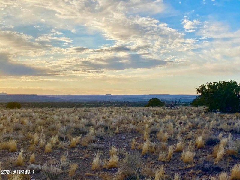 20241207030724161450000000-o