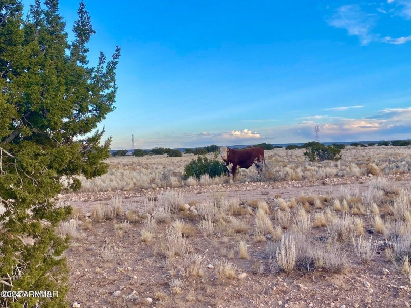 20241207060044984281000000-o