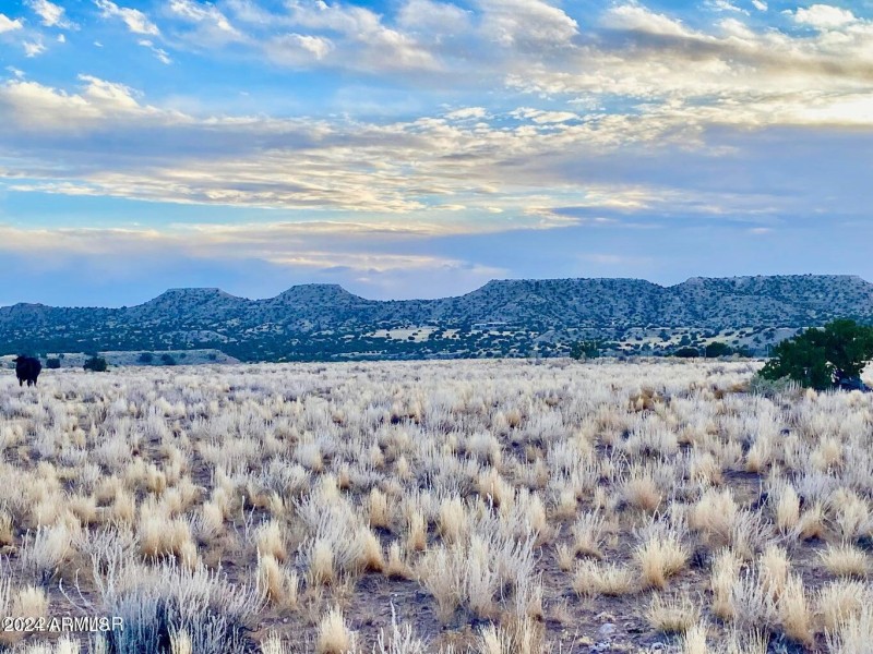 20241207060227898167000000-o