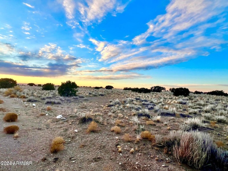 20241207064353560899000000-o