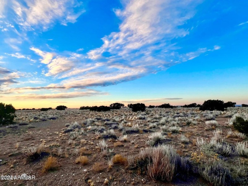 20241207064452438689000000-o