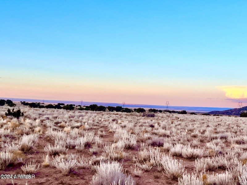 20241207064545225753000000-o