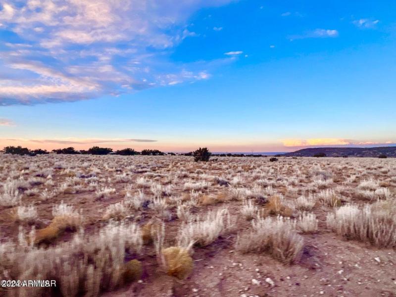 20241207064613262147000000-o