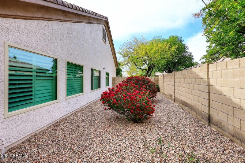Side Yard