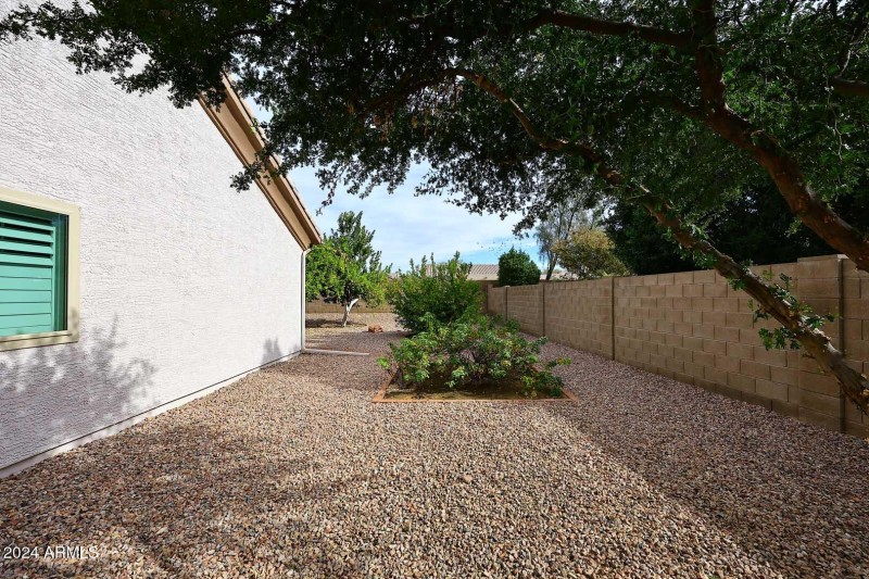 Other Side Yard