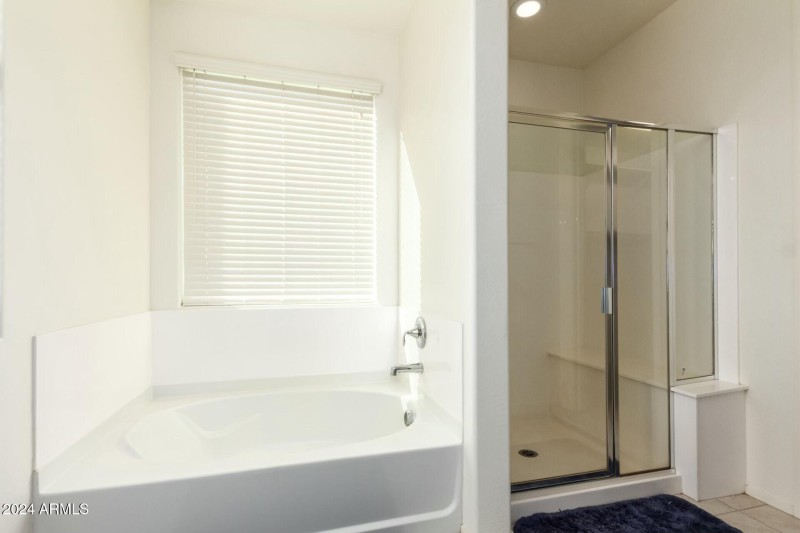 Master bath tub