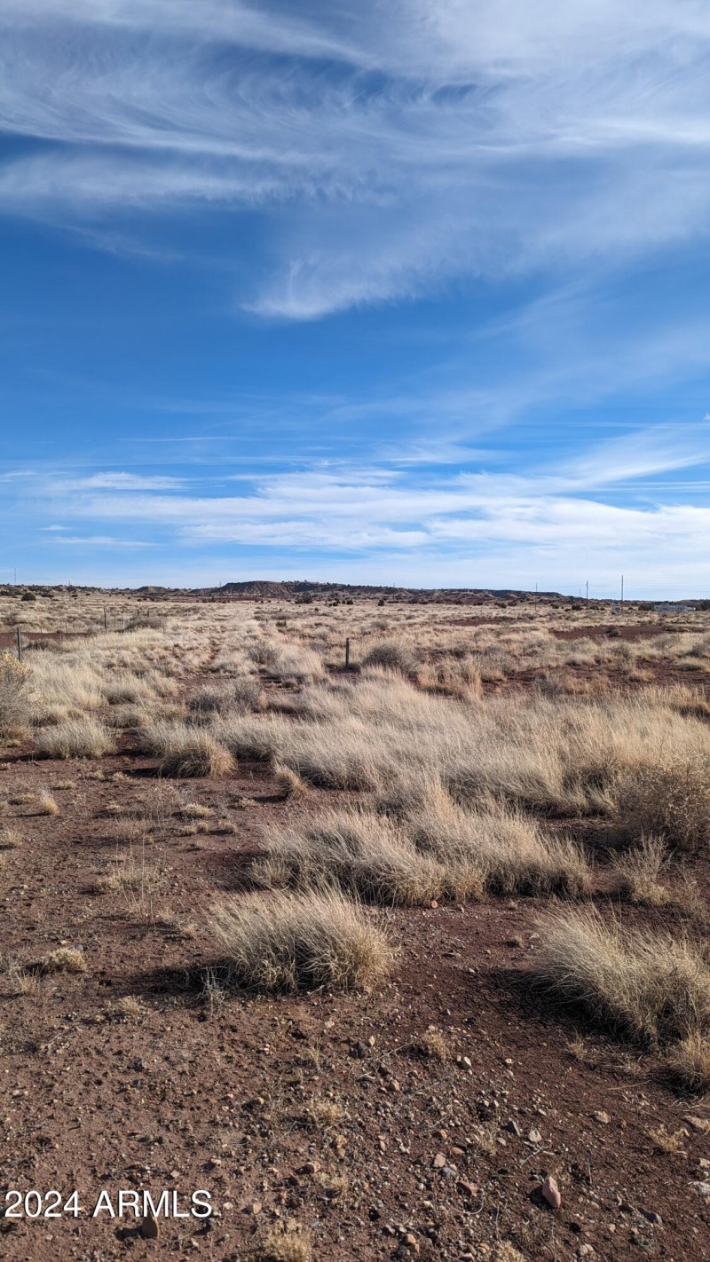 PXL_20240129_222327771