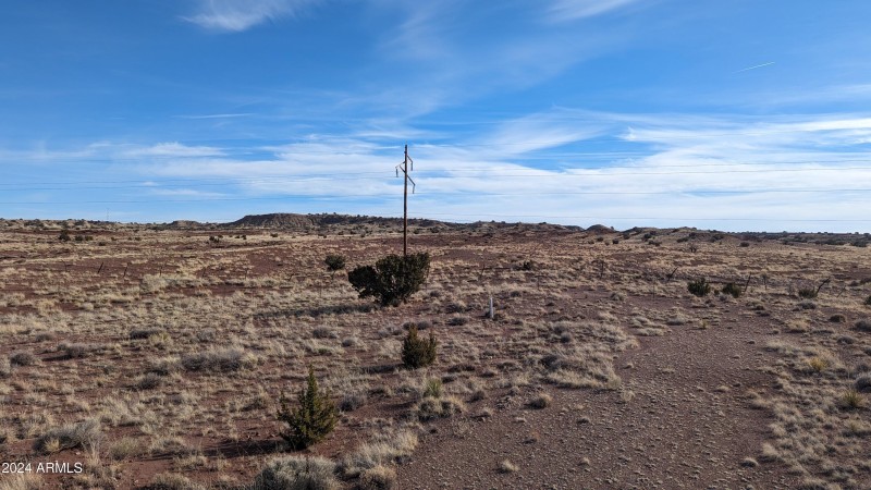 PXL_20240129_222821541