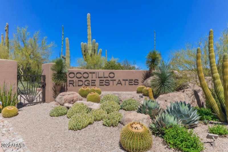 ocotillo sign