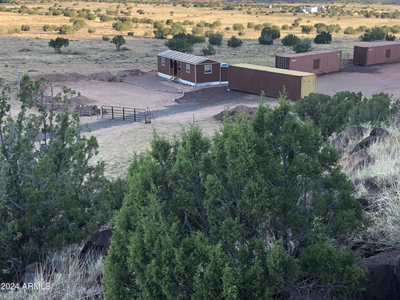 Lot 336-Arrington