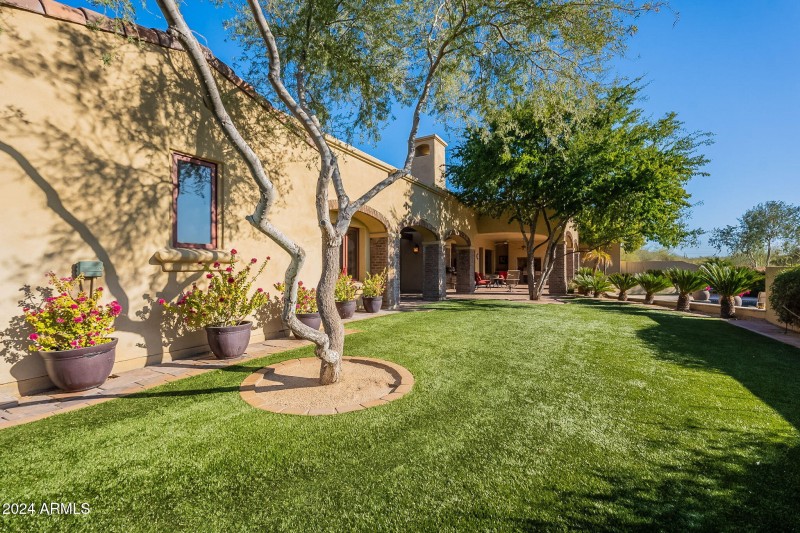 Side Yard Turf