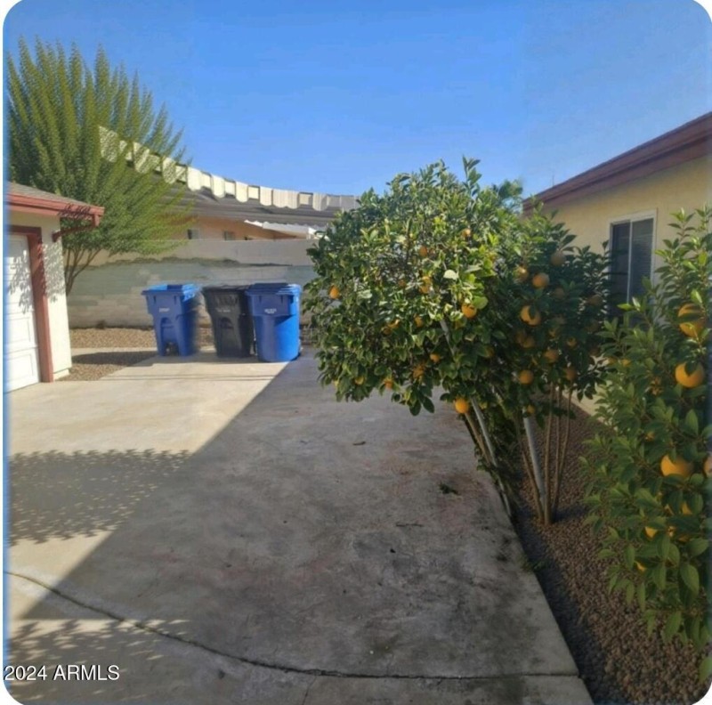 Backyard