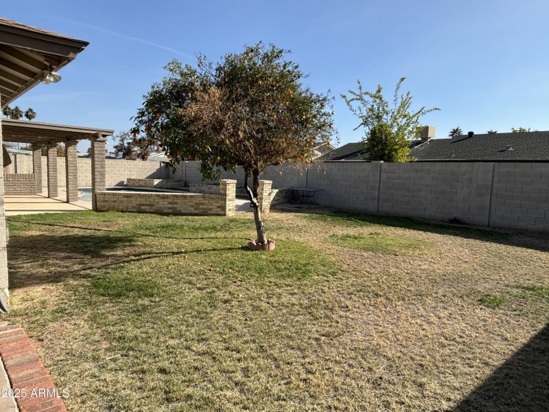 Backyard