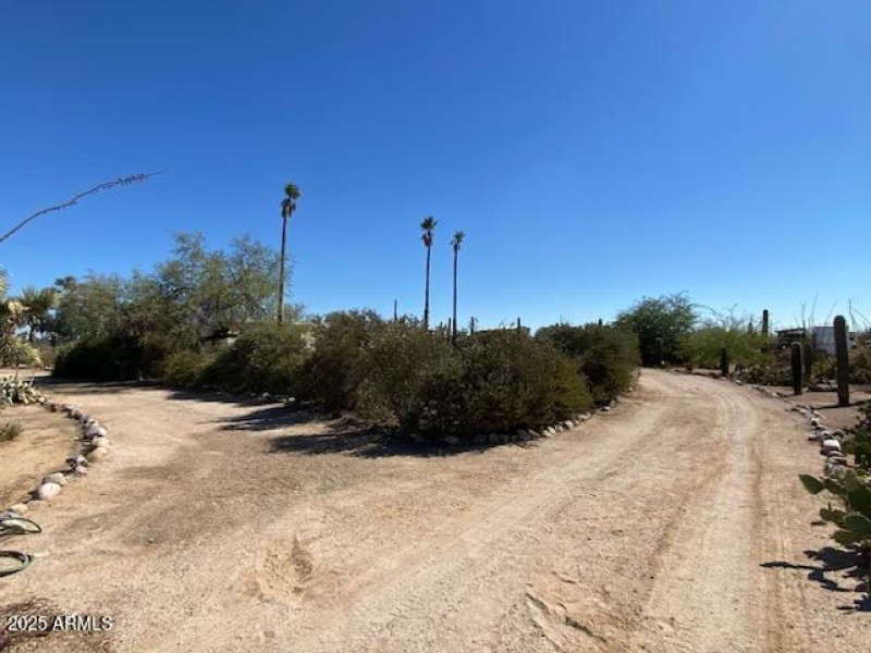 Driveway