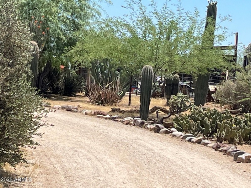 Driveway