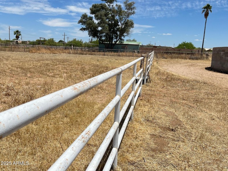 Horse Pasture