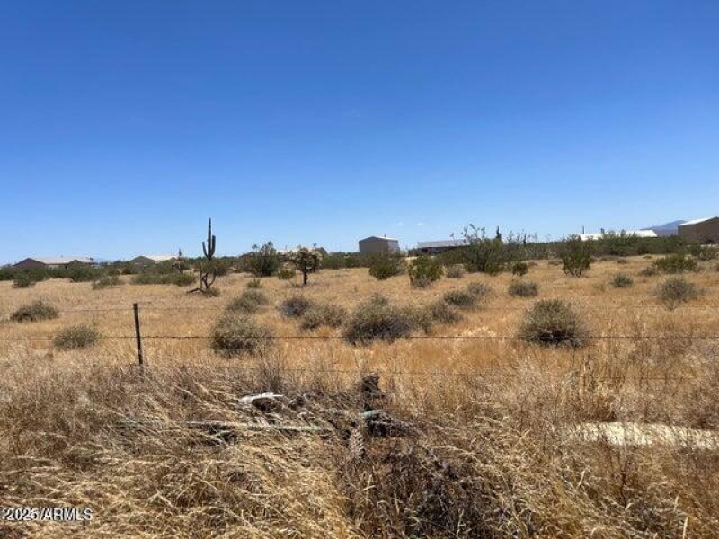 Looking into Back 5 Acres